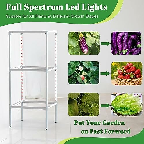 Full spectrum LED grow lights display with plant growth stages.