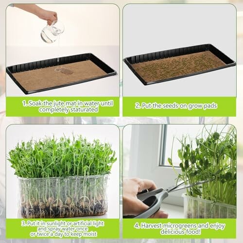 Four steps to grow microgreens: soak mat, add seeds, water regularly, harvest.