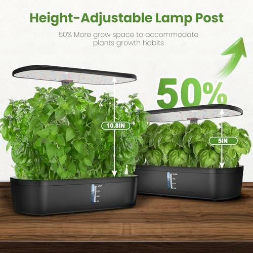 Height-adjustable lamp post with two indoor plant systems demonstrating plant growth space.