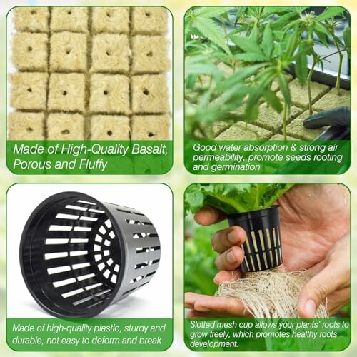 Hydroponic growing medium and mesh cup with plant.