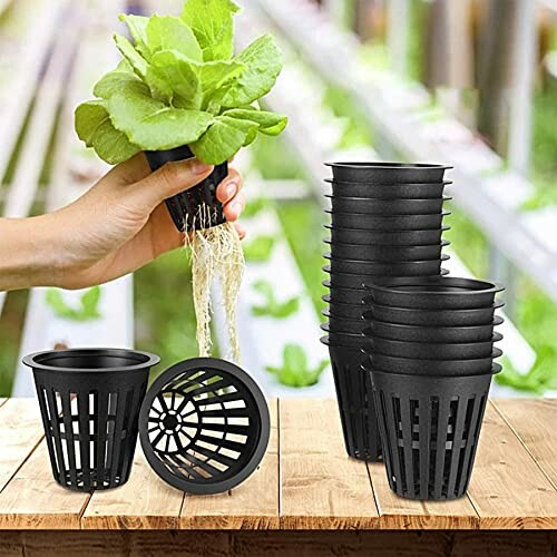 Hand holding a plant with roots in a hydroponic net pot, next to a stack of empty net pots on a wooden surface.