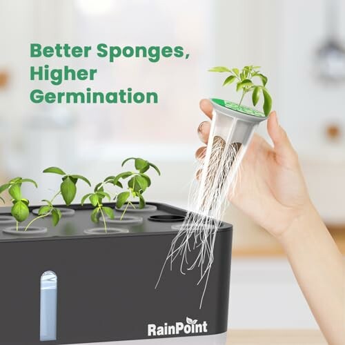 Hydroponic seed starter with plant roots and RainPoint branding.