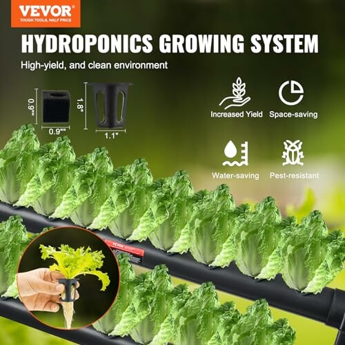 Hydroponics growing system with lettuce and benefits icons.