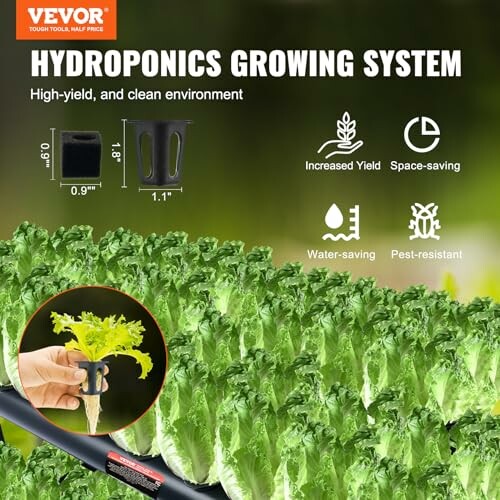 Hydroponics growing system with lettuce plants and features like increased yield, space-saving, water-saving, pest-resistant.