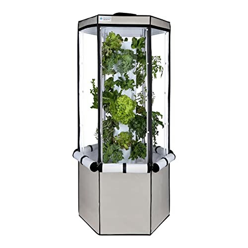 Indoor hydroponic garden system with plants growing vertically.