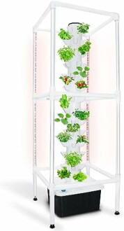 Sjzx Hydroponics Growing System