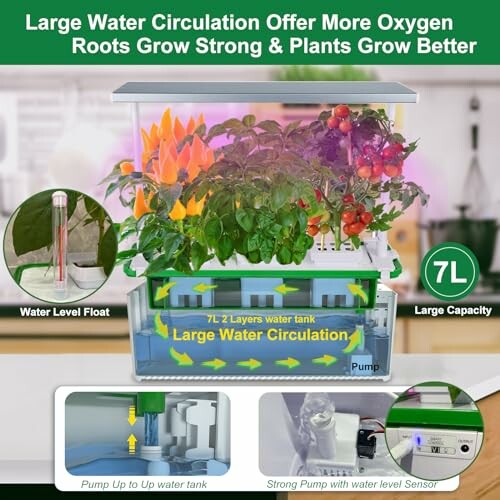 An indoor hydroponic system with water circulation and plants.