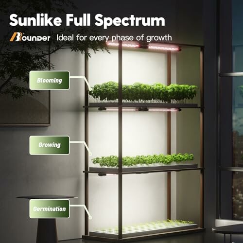 Indoor plant growth shelf with LED lights for blooming, growing, and germination.