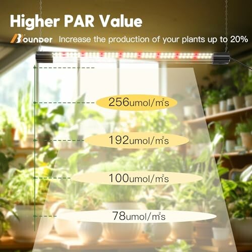 Indoor plant setup with PAR value chart for optimal growth.