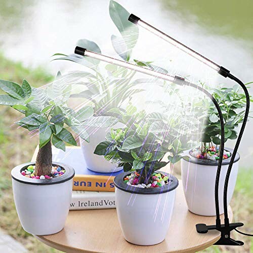 Potted plants with LED grow lights on a table.