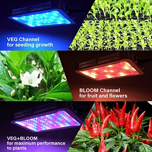 LED grow light with VEG and BLOOM channels for plant growth stages