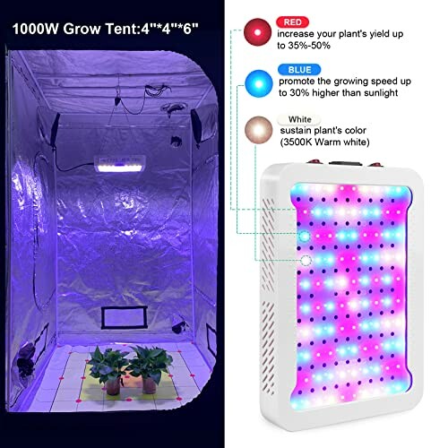 LED grow light setup in a tent with color-coded light benefits