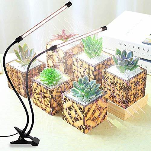 LED grow light illuminating succulents in decorative pots.