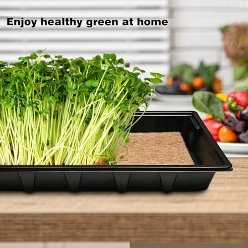 Tray of microgreens on a kitchen counter with vegetables in the background.