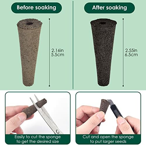 Comparison of plant sponges before and after soaking, with instructions for cutting and opening to plant seeds.