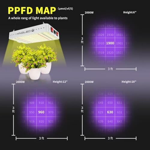 PPFD map showing light distribution for plants at different heights with LED grow light.