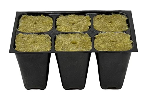 Rockwool starter tray with six slots for seedlings.