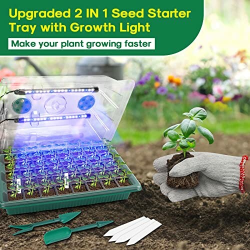 Seed starter tray with growth light and gardening tools.