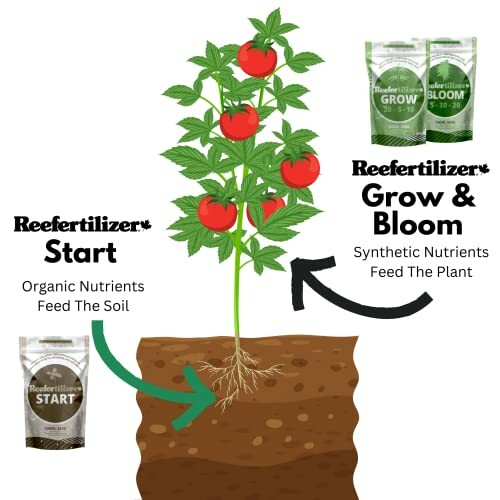 Illustration of a tomato plant with organic and synthetic fertilizers, symbolizing the importance of a balanced blend of nutrients.