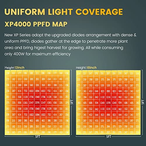 XP4000 PPFD map showing uniform light coverage at 12 and 18 inches.